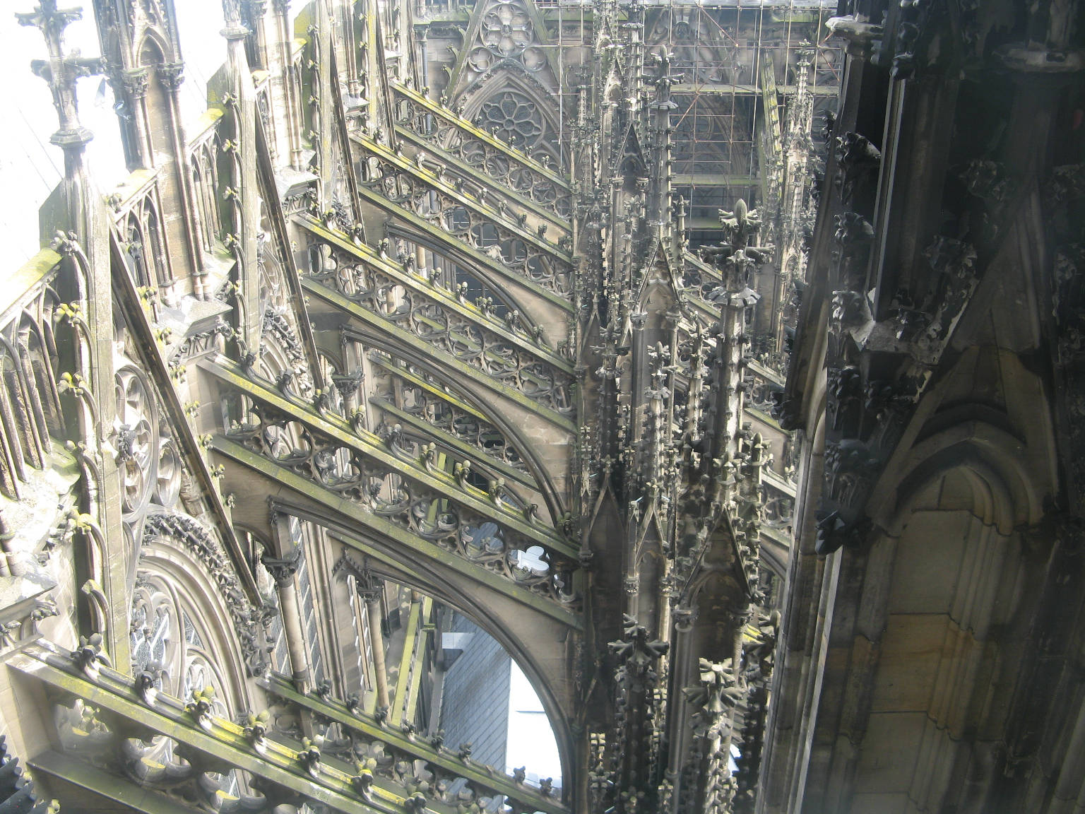 Buttresses flying down the side of the Cathedral